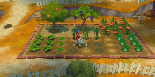 牧场物语 来吧！风之繁华集市/STORY OF SEASONS: Grand Bazaar