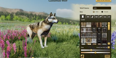 野狼谜踪：周年纪念版/WolfQuest: Anniversary Edition