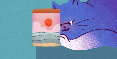 咪子不要!/Mizi NO!