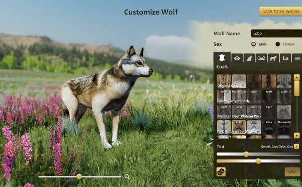 野狼谜踪:周年纪念版/WolfQuest: Anniversary Edition