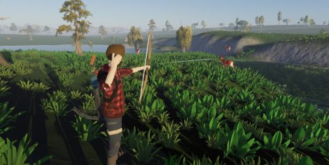 陶拉：生存/Taora : Survival