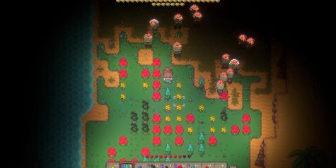 再度绽放/Rebloom