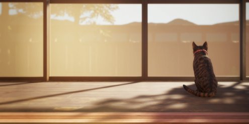 猫还在逃吗？/Still It Runs