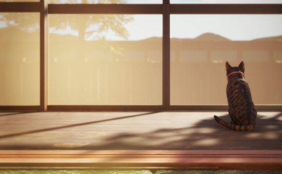 猫还在逃吗？/Still It Runs