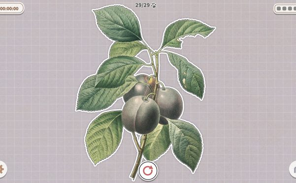 挤在一起的植物/Plants Huddled Together