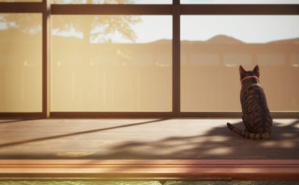 猫还在逃吗？/Still It Runs