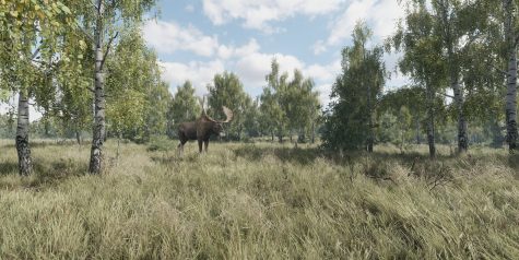 猎捕行动/On the Hunt