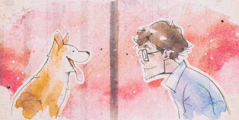 我的小柯基/My Little Puppy