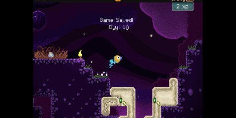 钻头鸟/Drill Bird