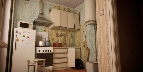 苏维埃旧梦/Panelka