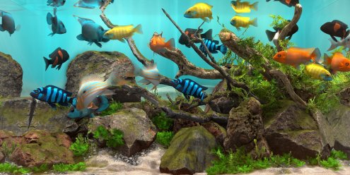 玻璃背后：水族馆模拟器/Behind Glass: Aquarium Simulator