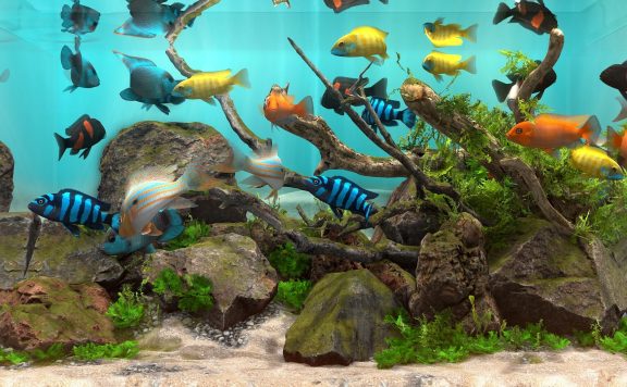 玻璃背后：水族馆模拟器/Behind Glass: Aquarium Simulator