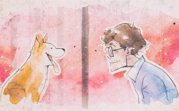 我的小柯基/My Little Puppy