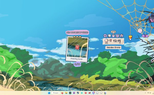 我的小小蜘蛛/My Little Spider