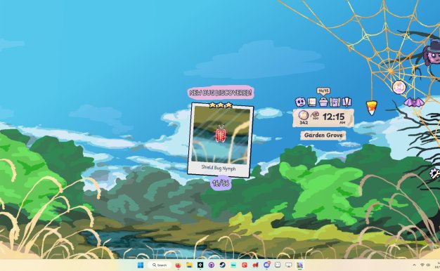 我的小小蜘蛛/My Little Spider