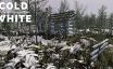 冷白/The Cold White