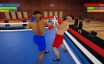 拳击模拟器/Boxing Simulator