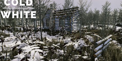 冷白/The Cold White