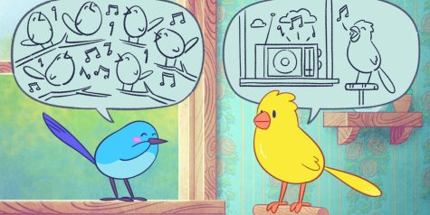 啵点节奏/Bits & Bops