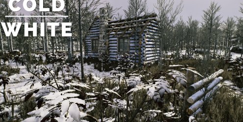 冷白/The Cold White
