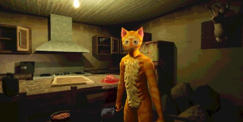 莫哈维之猫/Cat Named Mojave