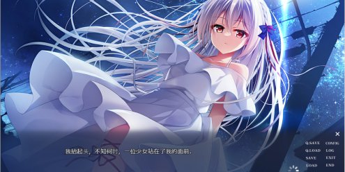 流星 -a wish star-/流る星 -a wish star-