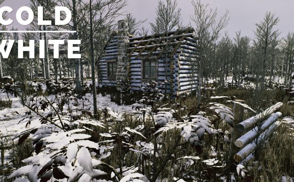 冷白/The Cold White