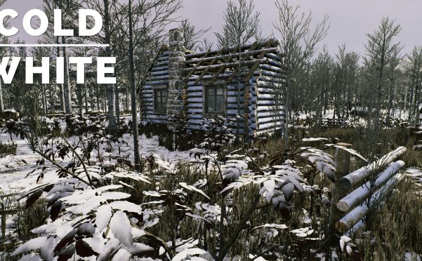 冷白/The Cold White