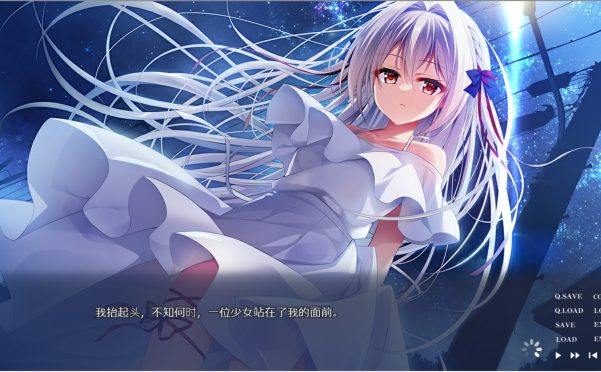 流星 -a wish star-/流る星 -a wish star-