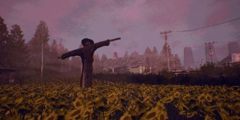 凝视之林：虱子/The Watching Woods: The Louse