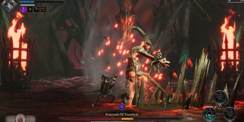 维拉斯特/VELASTER