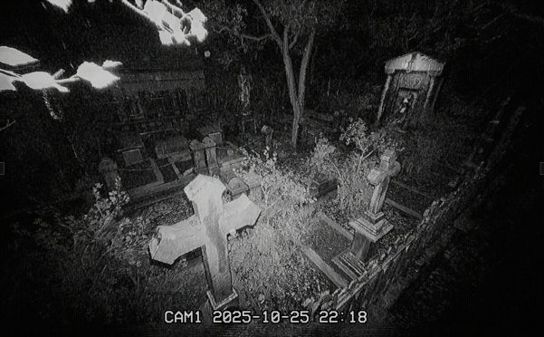 墓地夜班/The Cemetery Shift