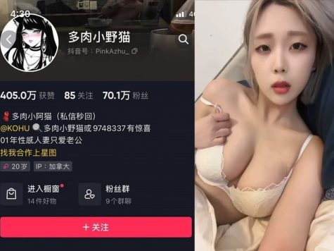 多肉小野猫 微密圈 秘语空间 写真图片以及视频资源合集[持续更新]
